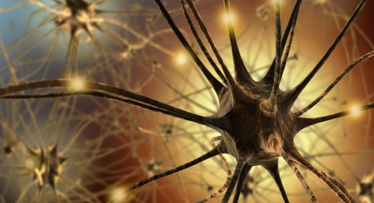 NRF seed funding leads to $10.9 million in neurosurgical research support in SA
